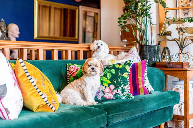 9 Karepa Street Brooklyn_21