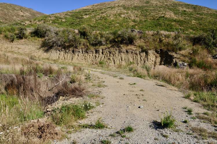 Diggers Gully Road Kurow_10
