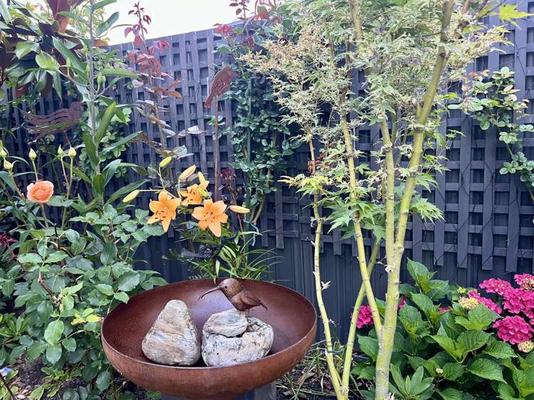 25 Stonebrook Drive Wanaka_17