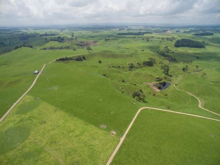 438 Waotu South Road Putaruru_20