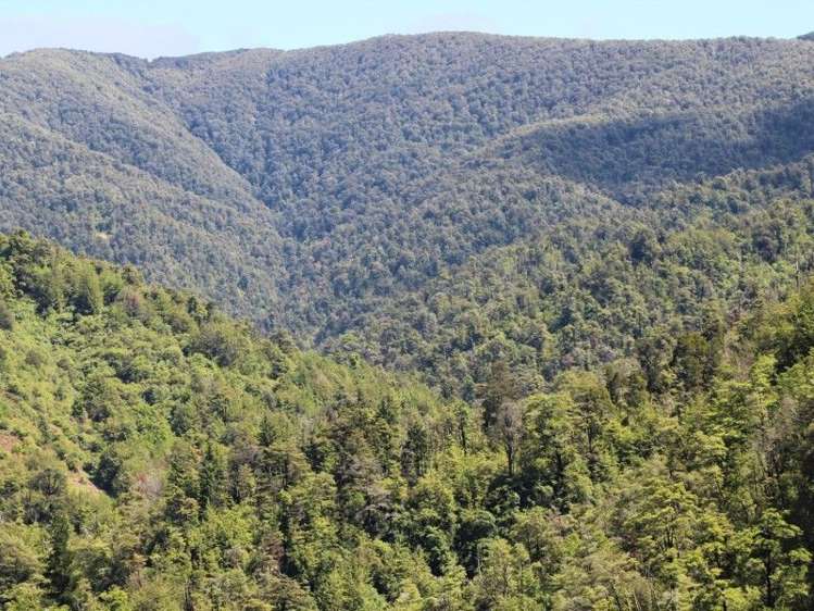 250 Glentui Bush Road Glentui_2