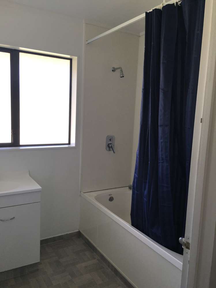 25 Michael Jones Drive Flat Bush_8