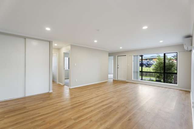 29 Pitt Avenue Clendon Park_1