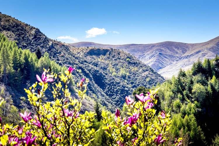 3 Berkshire Street Arrowtown_6