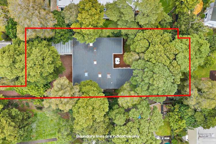 53a Hillcrest Avenue Hillcrest_28