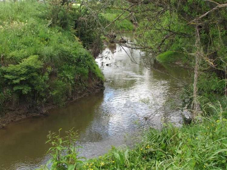 961 Park Road Te Awamutu_14