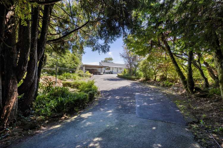 15 Fairbank Avenue Stratford_22