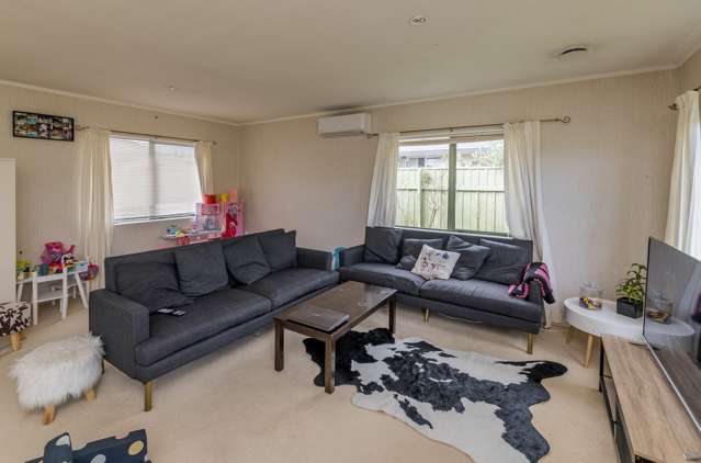 5 Rosedale Place Levin_2