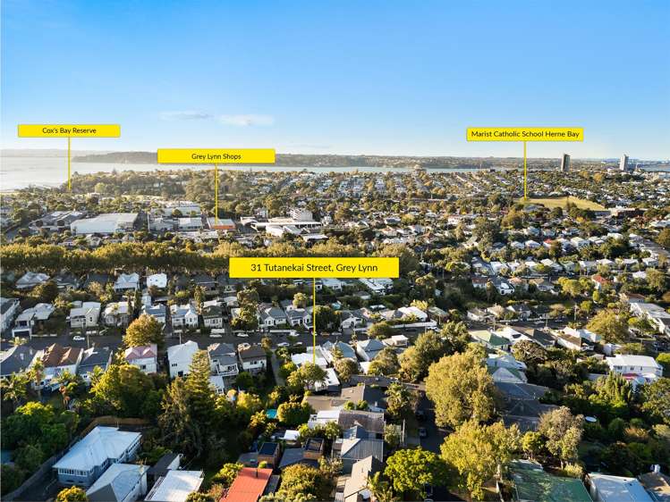 31 Tutanekai Street Grey Lynn_33