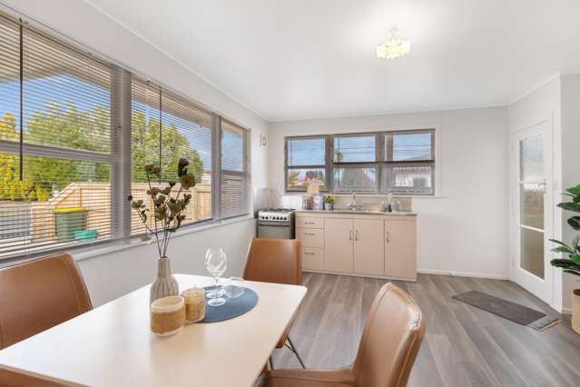 27 Freyberg Street 10516_1