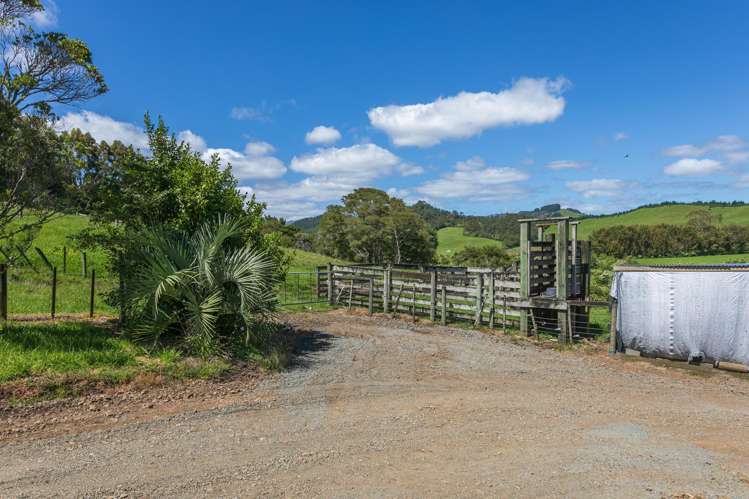 37 Kapowai Road Coroglen_42