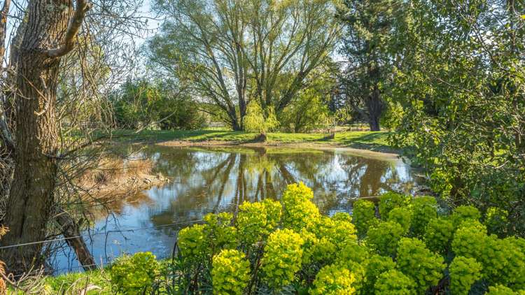 257 Lyndon Road Waiau_32