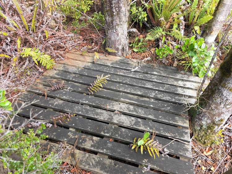 Ballarat Rise Awatuna_4