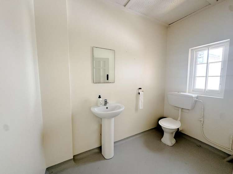 229 Parnell Road Parnell_14