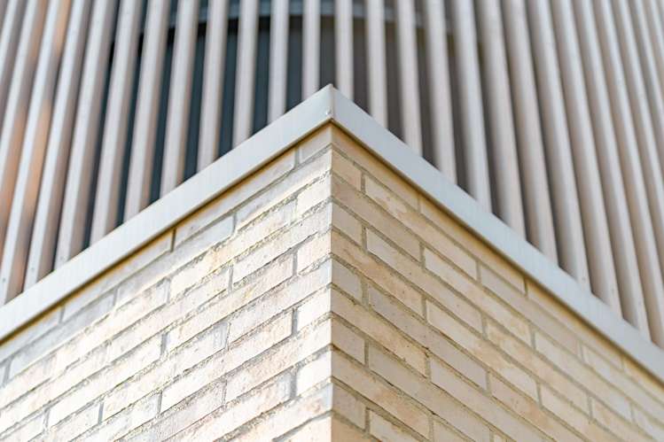 302 Cannon Hill Crescent Mount Pleasant_18