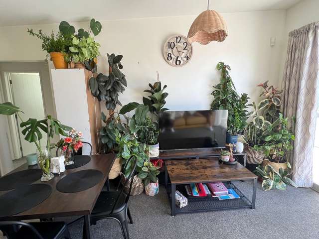 1/344 Ferry Road Waltham_3