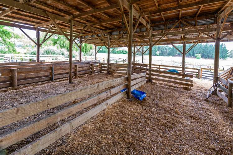 47 Hurunui Mouth Road Domett_21