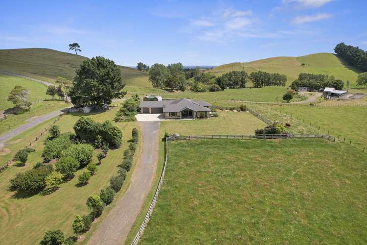 26 Puriri Road_5