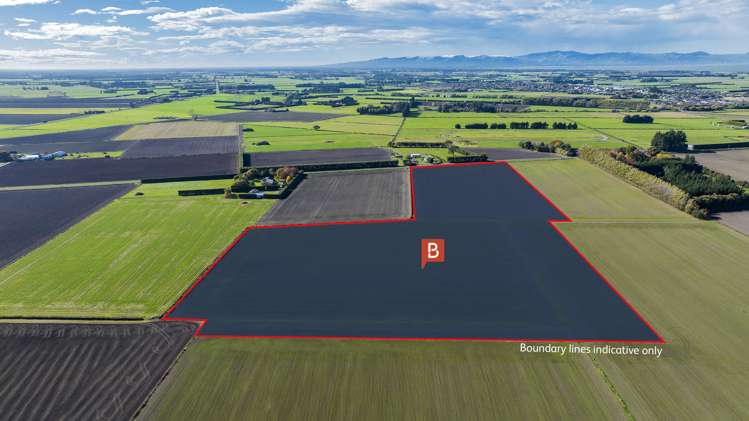 (10ha) Prossers Road Leeston_2