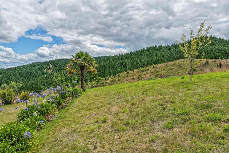 1664 Kahuranaki Road Kahuranaki_22