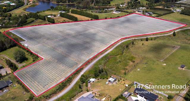 Major blueberry tender opportunity