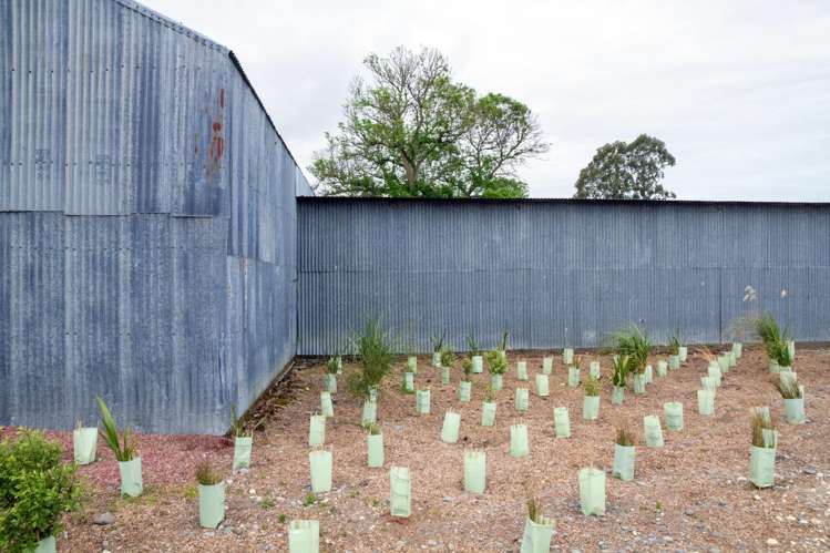 94 Brogdens Road Lowcliffe_25