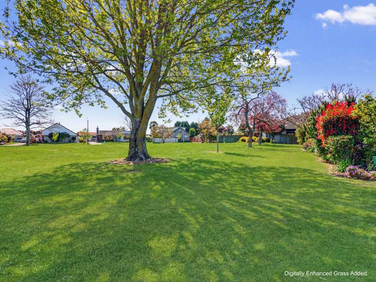 3 Derby Place Tamatea_27