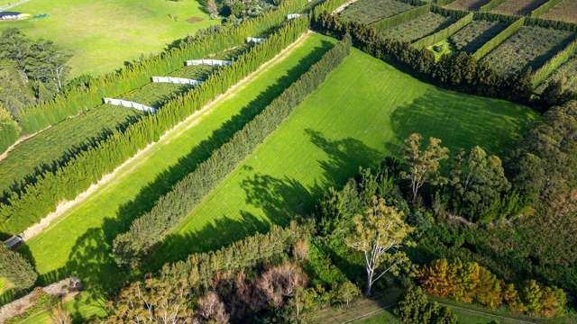 8 & 2/75 Riddell Road Kerikeri_3