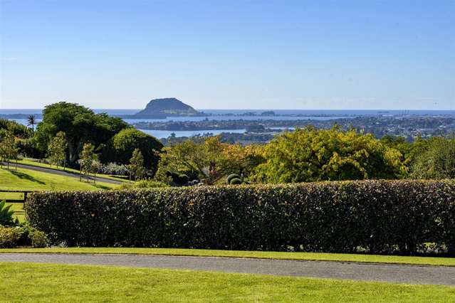 8 Dawn View Place Wairoa_1