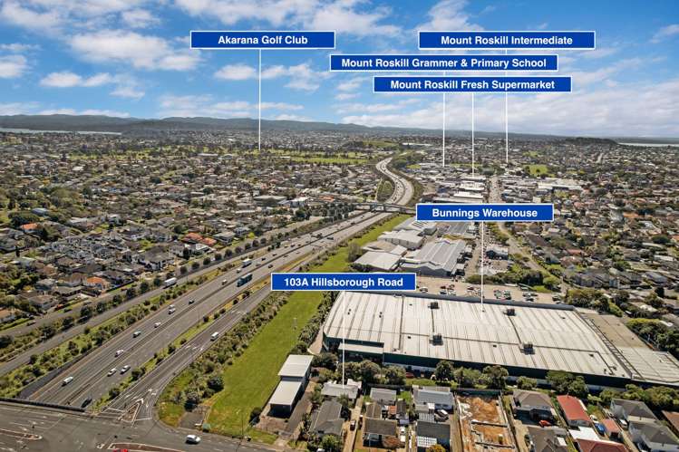 103A Hillsborough Road Hillsborough_22