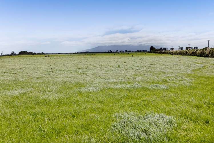 479 Upper Glenn Road Manaia_7