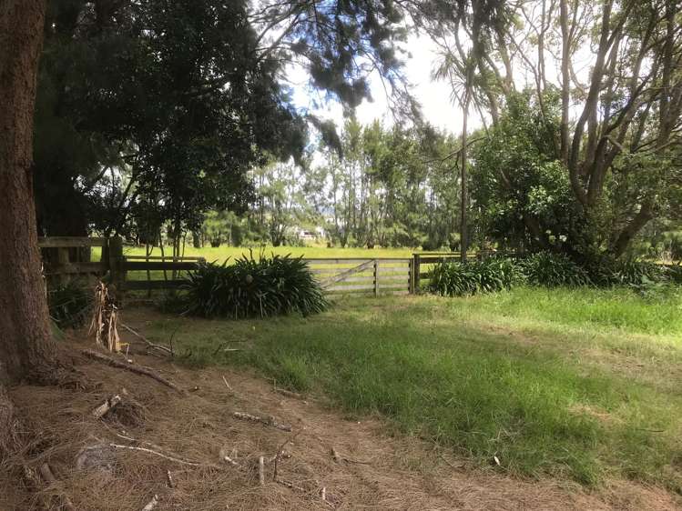 74 Trig Road Whenuapai_10