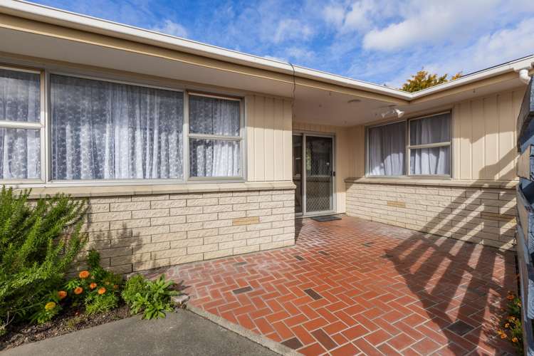 2/50A Vigor Brown Street Napier South_15