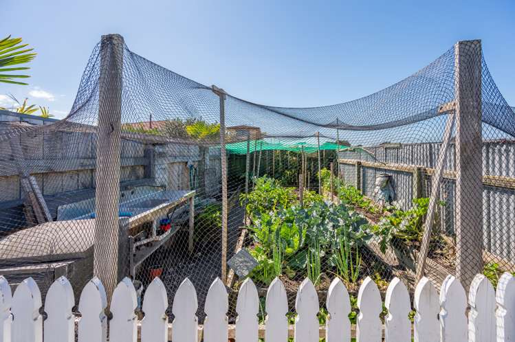 246 Kennedy Road Onekawa_17