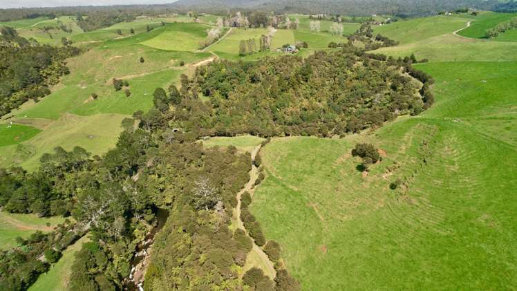 717 Wright Road Aongatete_11