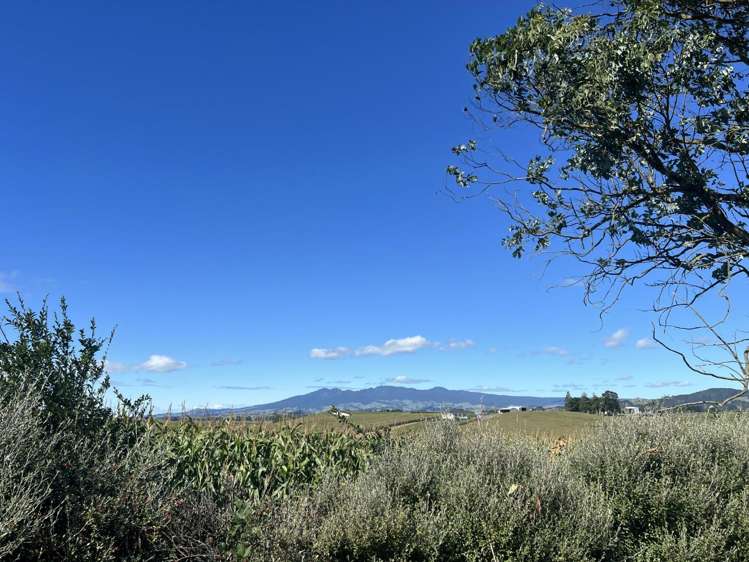 95 Maisey Road 11377_25