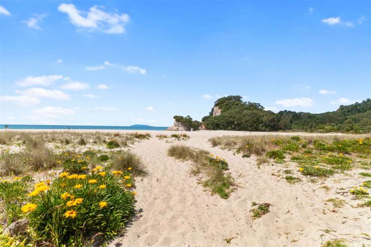 7 Stingray Crescent Whiritoa_9