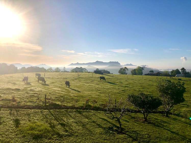 125 Te Rongo Road Parua Bay_10