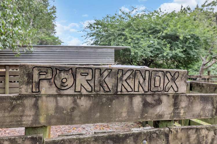 1344 State Highway 1 Hikurangi_26