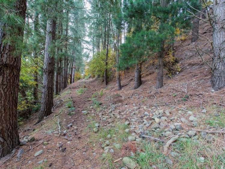 58 Harpers Road Loburn_20