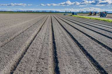 34 and 148 Farndon Road and 272 State Highway 51_1