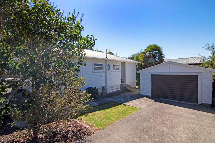 1 Piko Street Toi Toi_1