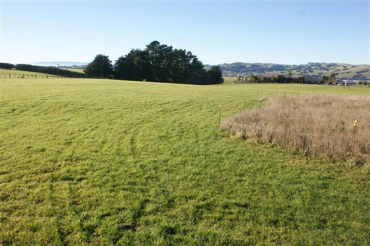 52 Spittles Way Gore_15