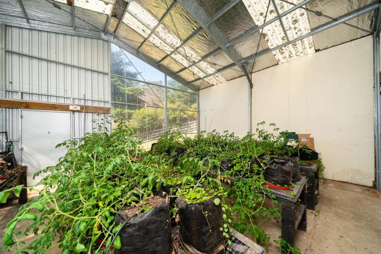 474A Makara Road Makara_19