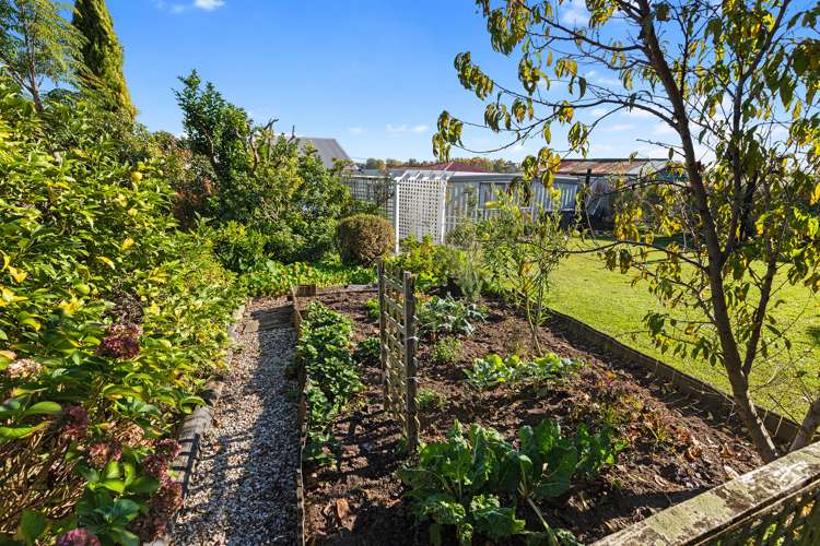 40 Koromiko Street Te Aroha_21