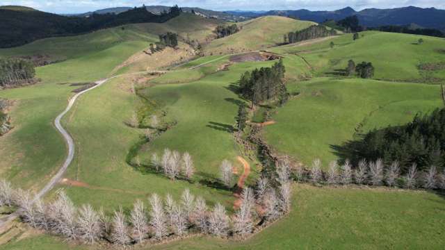 This 152ha Kerikeri Farm Must Be Sold