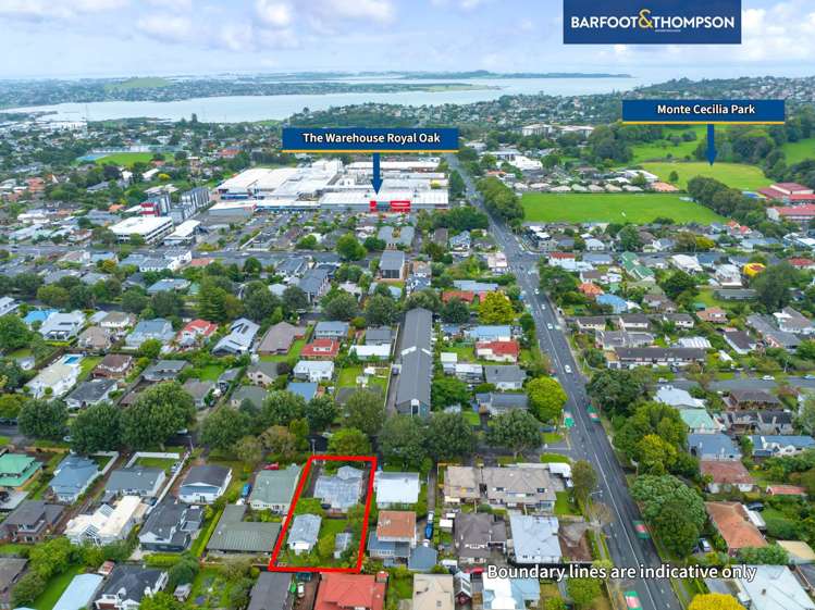 19 Oak Street Royal Oak_25