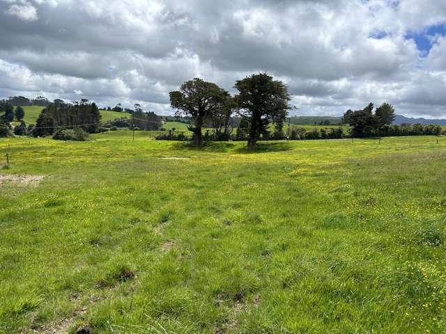 2868 SH 31, Kawhia Road Pirongia_3