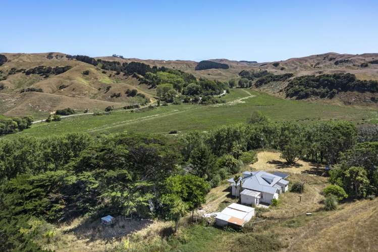475 Te Akau South Road Te Akau_14