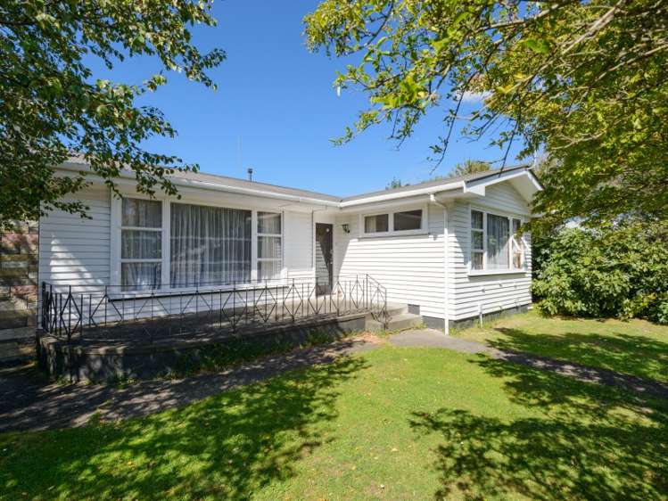 62 Haydon Street Roslyn_16